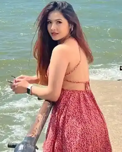 Ziro Escort Service